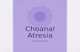 Choanal  Atresia