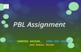 PBL Assignment