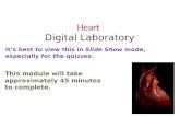 Heart Digital  Laboratory