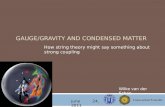 Gauge / gravity  and  condensed  matter