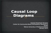 Causal Loop  D iagrams