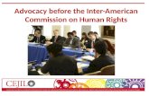 Advocacy before the Inter-American Commission on Human Rights
