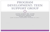 PROGRAM DEVELOPMENT: TEEN SUPPORT GROUP