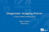 Diagnostic Imaging Primer