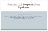 Perinatal  Depression Update