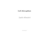 Cell disruption