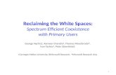 What are White Spaces?