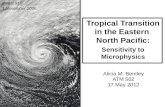 Tropical Transition in the Eastern  North Pacific: Sensitivity to Microphysics