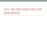 Ch. 19 Hip and Pelvis Injuries