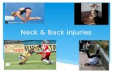 Neck & Back injuries