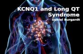 KCNQ1 and Long QT Syndrome