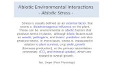 Abiotic Environmental Interactions  -  Abiotic Stress  -
