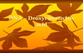 DNA – Deoxyribonucleic acid