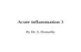 Acute  inflammation  3