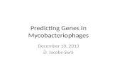 Predicting Genes in Mycobacteriophages