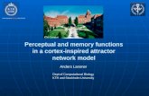 Perceptual and memory functions in a cortex-inspired attractor network model