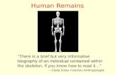 Human  Remains