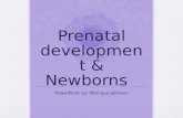 Prenatal development & Newborns