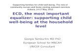 ECD, the most important equalizer: supporting child well-being at the household level
