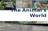 The Animal's World