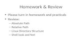 Homework & Review