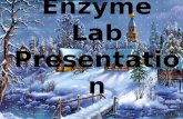 Enzyme Lab  Presentation
