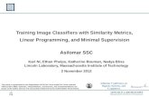 Training Image Classifiers with Similarity Metrics, Linear Programming, and Minimal Supervision