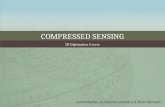 Compressed sensing