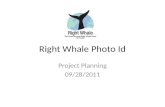 Right Whale Photo Id