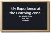 My Experience at the  Learning Zone  By: Griselda  Picazo Beep 4384 Dr.  Amaro