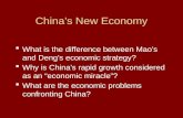 China ’ s New Economy