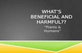 What’s Beneficial and harmful??