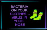 BACTERIA ON YOUR  CLOTHES… VIRUS  IN  YOUR   NOSE