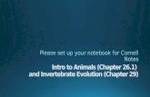 Intro to Animals (Chapter 26.1)  and  Invertebrate Evolution (Chapter 29)