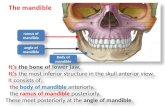 It’s  the bone of  lower jaw. It’s  the  most inferior structure  in the  skull  anterior view.
