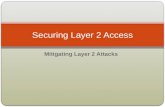 Securing Layer 2 Access