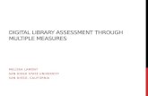 Digital Library assessment through multiple measures