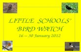 LITTLE  SCHOOLS’ BIRD WATCH 16 – 30 January 2012