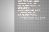 Distinguishing Among Causal Explanations in Biology: Mechanical and Topological Explanations