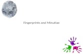 Fingerprints and Minutiae