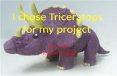 I chose Triceratops for my project