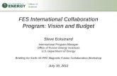 FES International Collaboration Program: Vision and Budget
