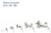 Plant  Growth (Ch.  35, 39)