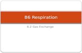 B6 Respiration