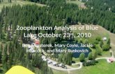 Zooplankton Analysis of Blue Lake October 23 rd , 2010