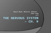 The Nervous System – Ch. 9
