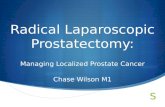 Radical Laparoscopic Prostatectomy: