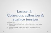 Lesson 3:   Cohesion, adhesion & surface tension