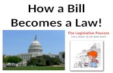 How a Bill Becomes a Law!