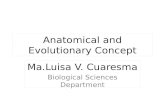 Anatomical and Evolutionary Concept